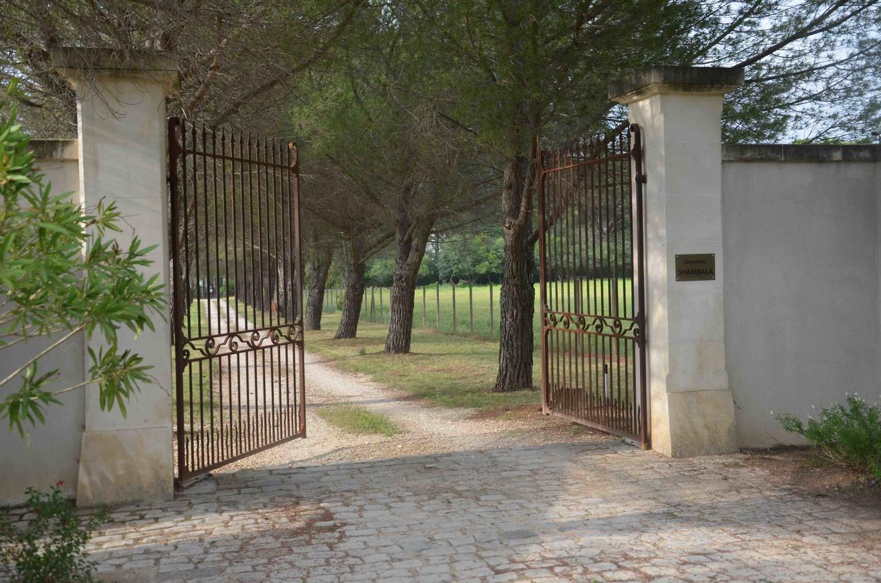 Domaine Shambala - Maison D'Hote En Provence - Piscine Chauffee Velaux Екстериор снимка