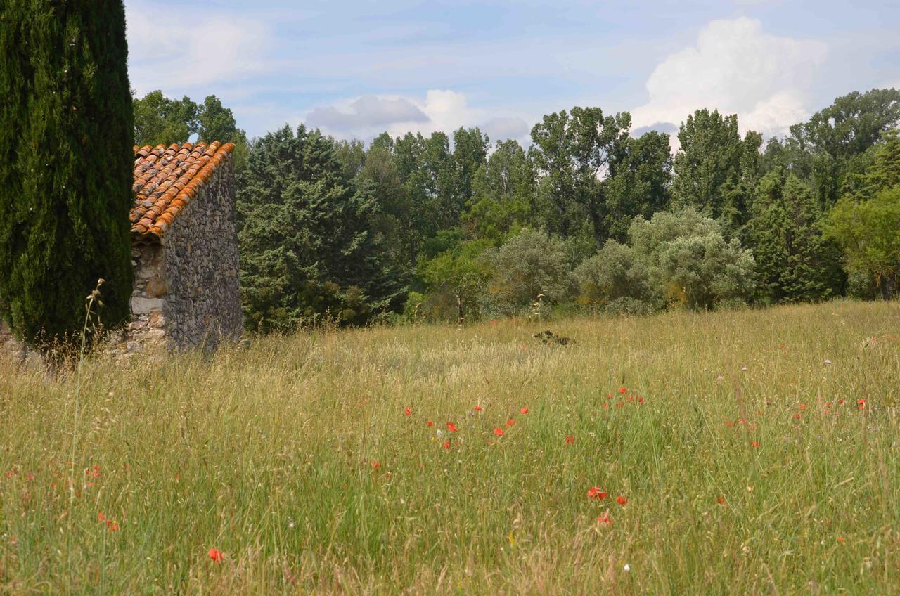 Domaine Shambala - Maison D'Hote En Provence - Piscine Chauffee Velaux Екстериор снимка
